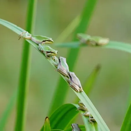 Les Pieds Dans L'eau, Le Blagour Casa vacanze *