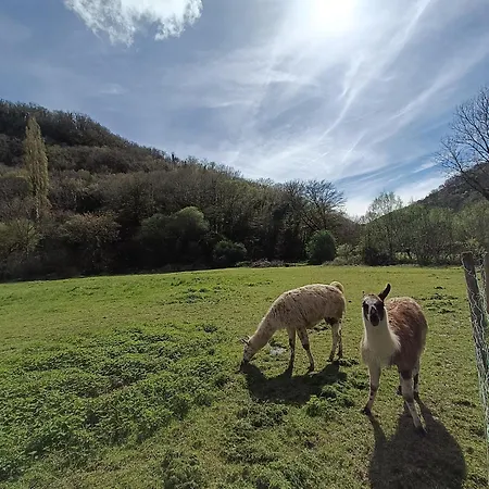 Les Pieds Dans L'eau, Le Blagour