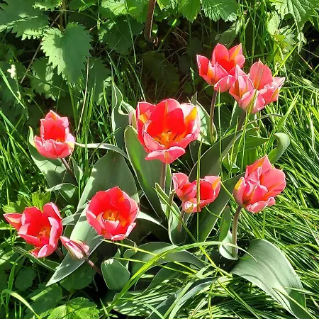 Les Pieds Dans L'eau, Le Blagour Dom wakacyjny *