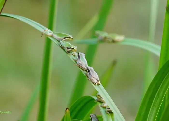 Les Pieds Dans L'eau, Le Blagour Semesterbostad *