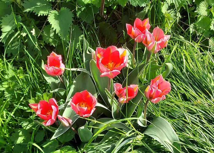 Les Pieds Dans L'eau, Le Blagour Semesterbostad *